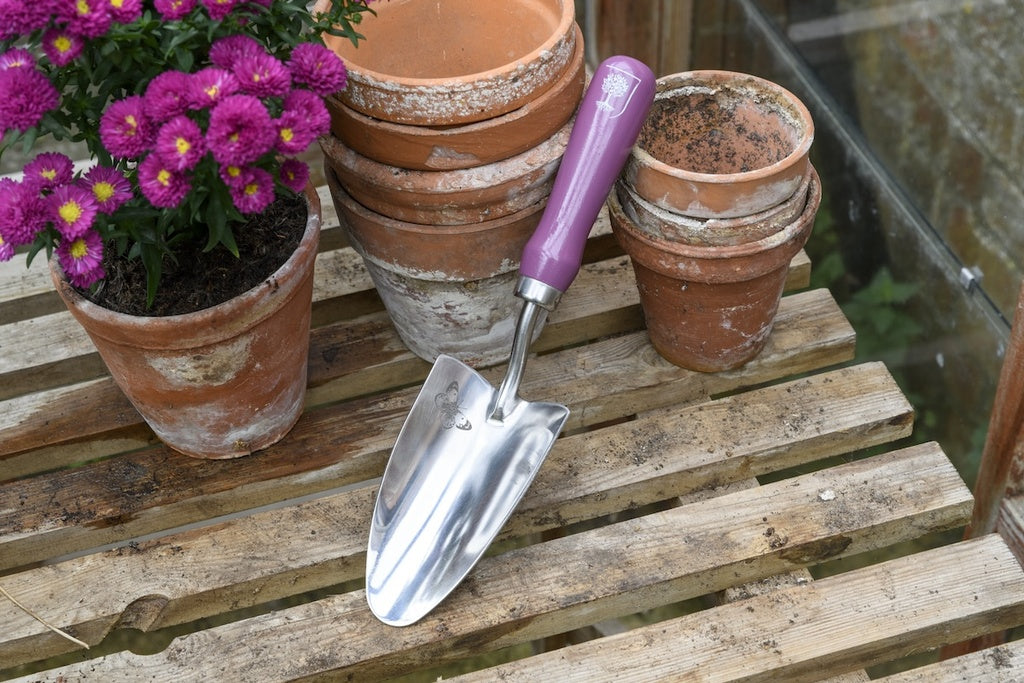 RHS Gift Trowel & Frok Asteraceae