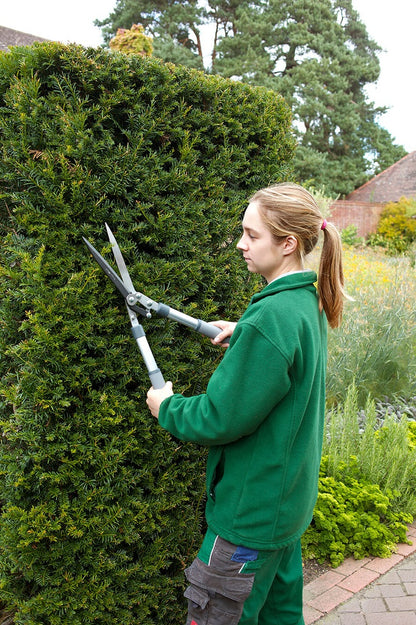 Burgon &amp; Ball | RHS Hedge Shear