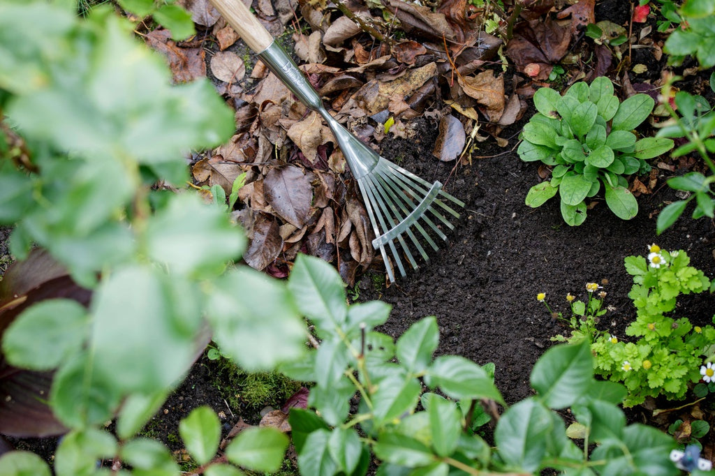 RHS Long Handled Shrub Rake