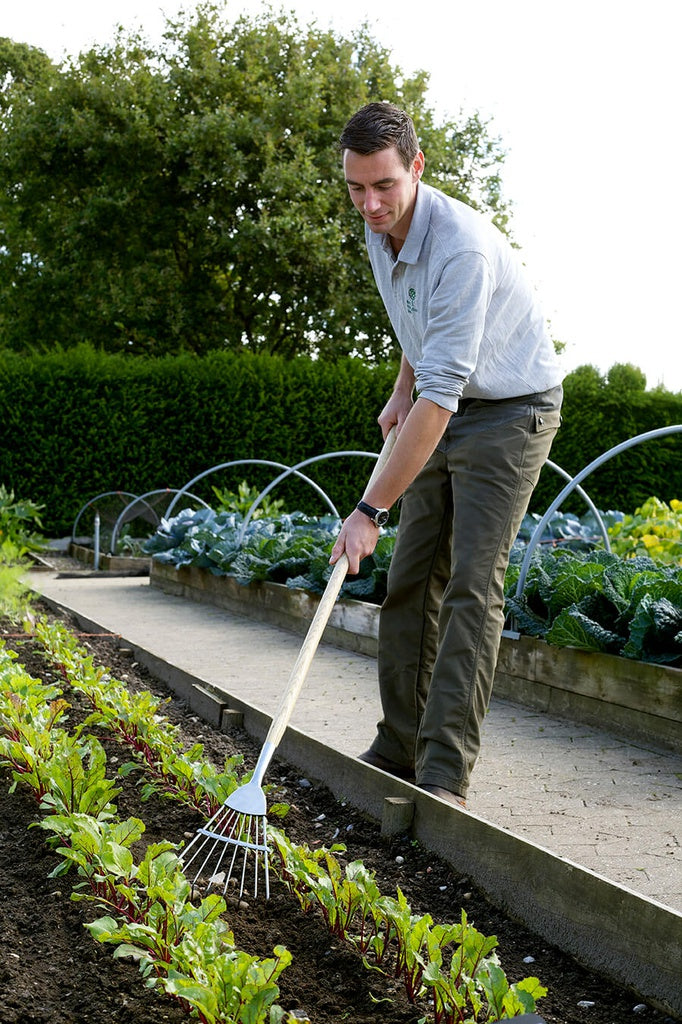 RHS Stainless Culti-Rake
