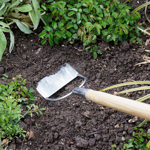 RHS Stainless Dutch Hoe