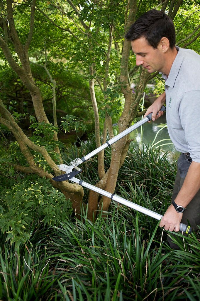 RHS Telescopic Ratchet Lopper