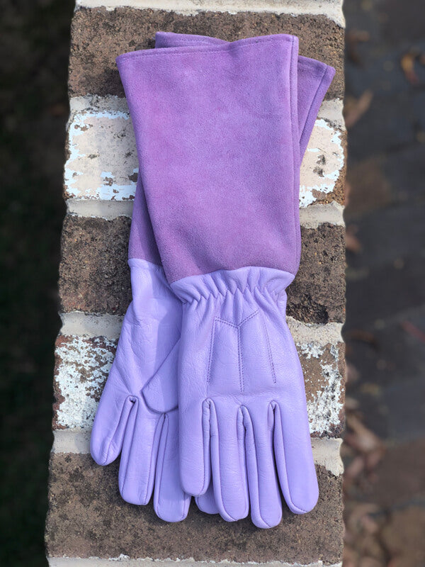 Scratch Protector Gloves - Lavender