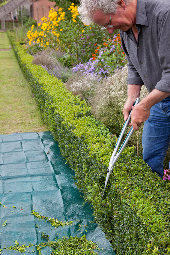 Topiary Hedge Shears