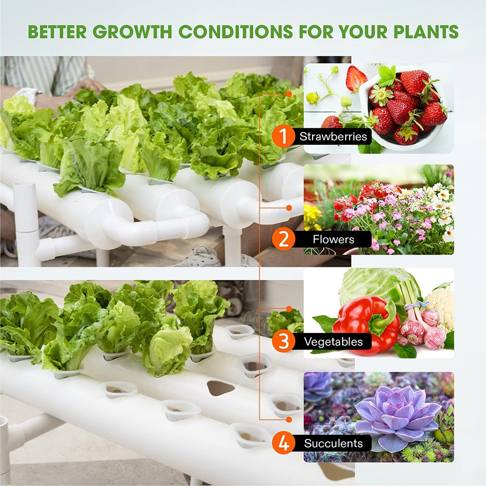 Hydroponic Grow Kit 36 Plant Sites