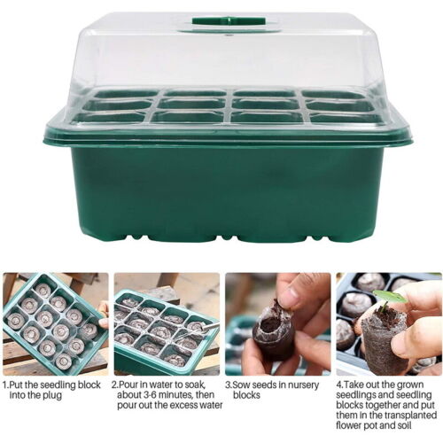 Seedling starter kit- Propagation tools Australia