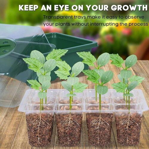 Seedling starter kit- Propagation tools Australia