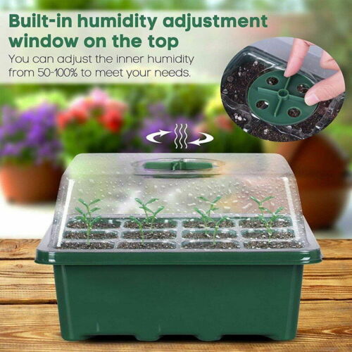 Seedling starter kit- Propagation tools Australia