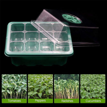 Seedling starter kit- Propagation tools Australia