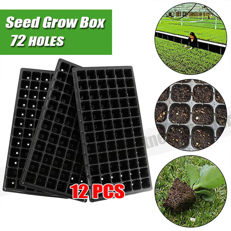 Seedling starter kit- Propagation tools Australia
