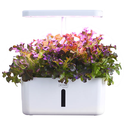 Hydroponic Growing System, with Water Level Window &amp; Pump 8 Pod - White