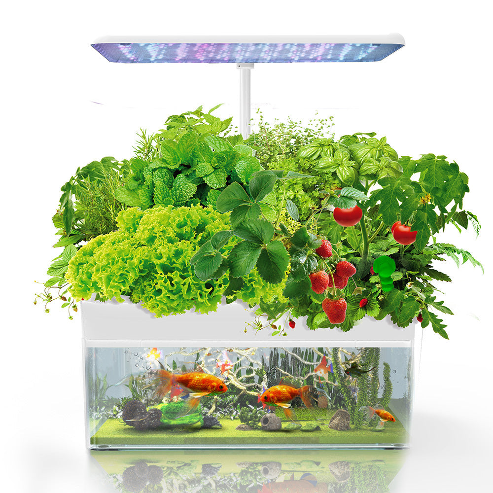 Australia wide delivery Hydroponic Growing System with Fish Tank 12 Pod
