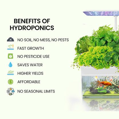 Hydroponic Growing System with Fish Tank 12 Pod