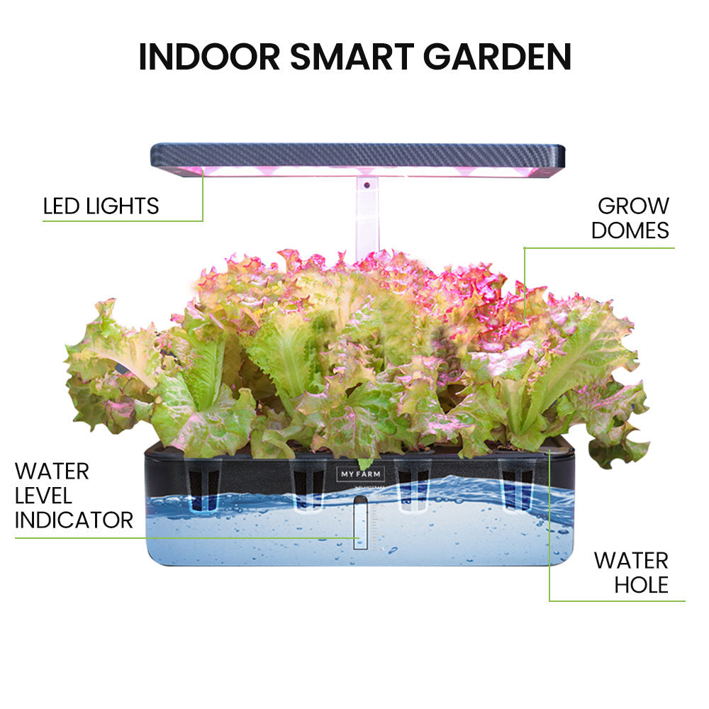 Hydroponic Growing System, with Water Level Window &amp; Pump 12 Pod - Black