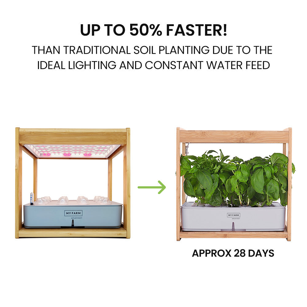 Hydroponic Growing System with Bamboo Frame 12 Pod