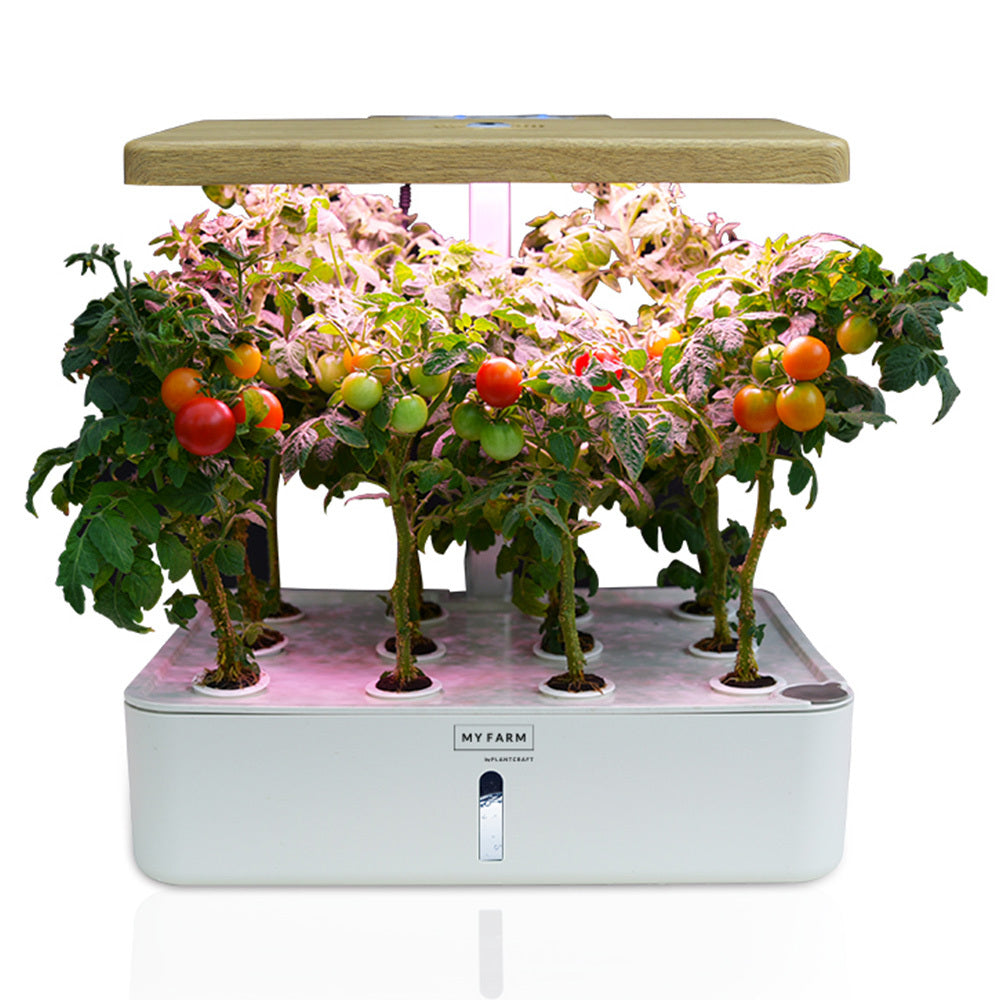 Australia delivery Hydroponic Growing System 12 Pod