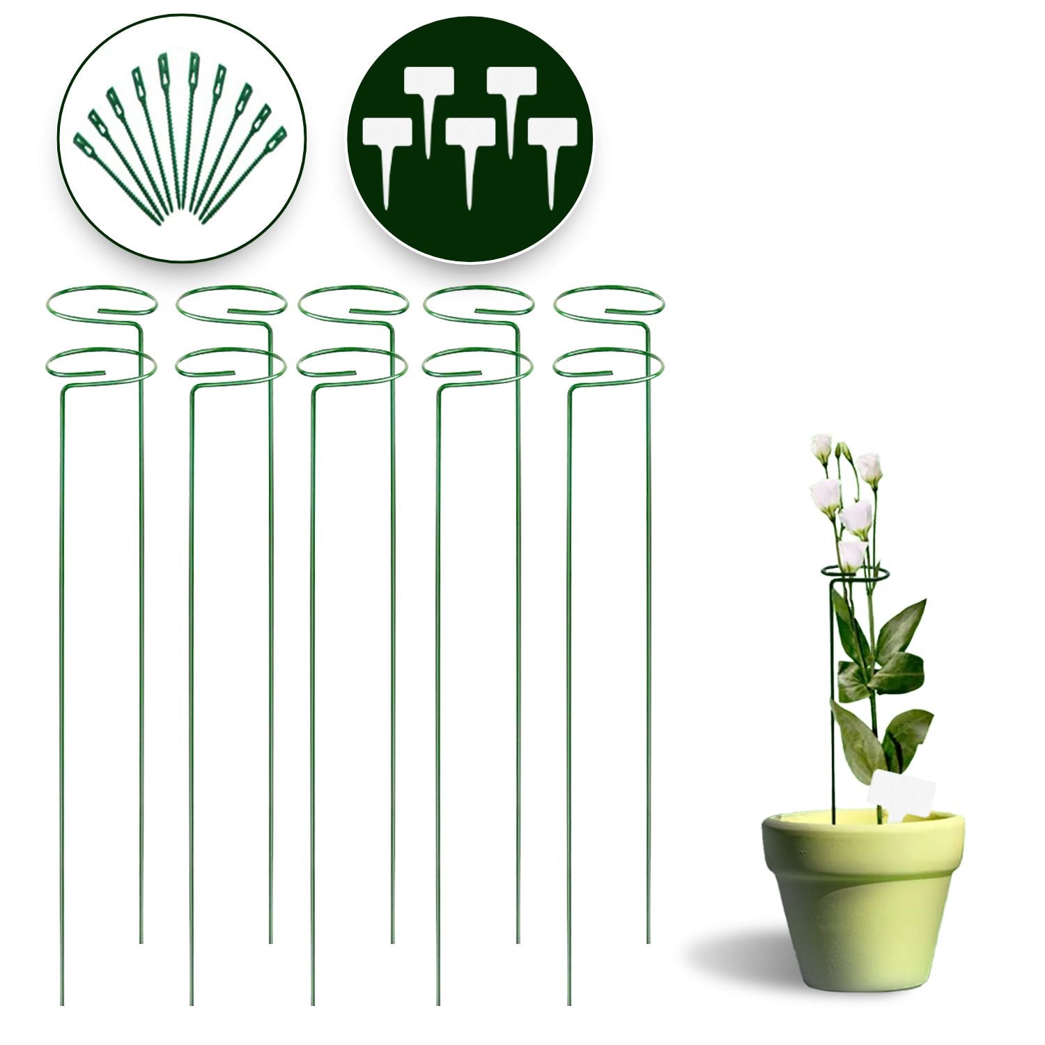 Noveden | Plant Flower Stake Set  - 10pcs Green