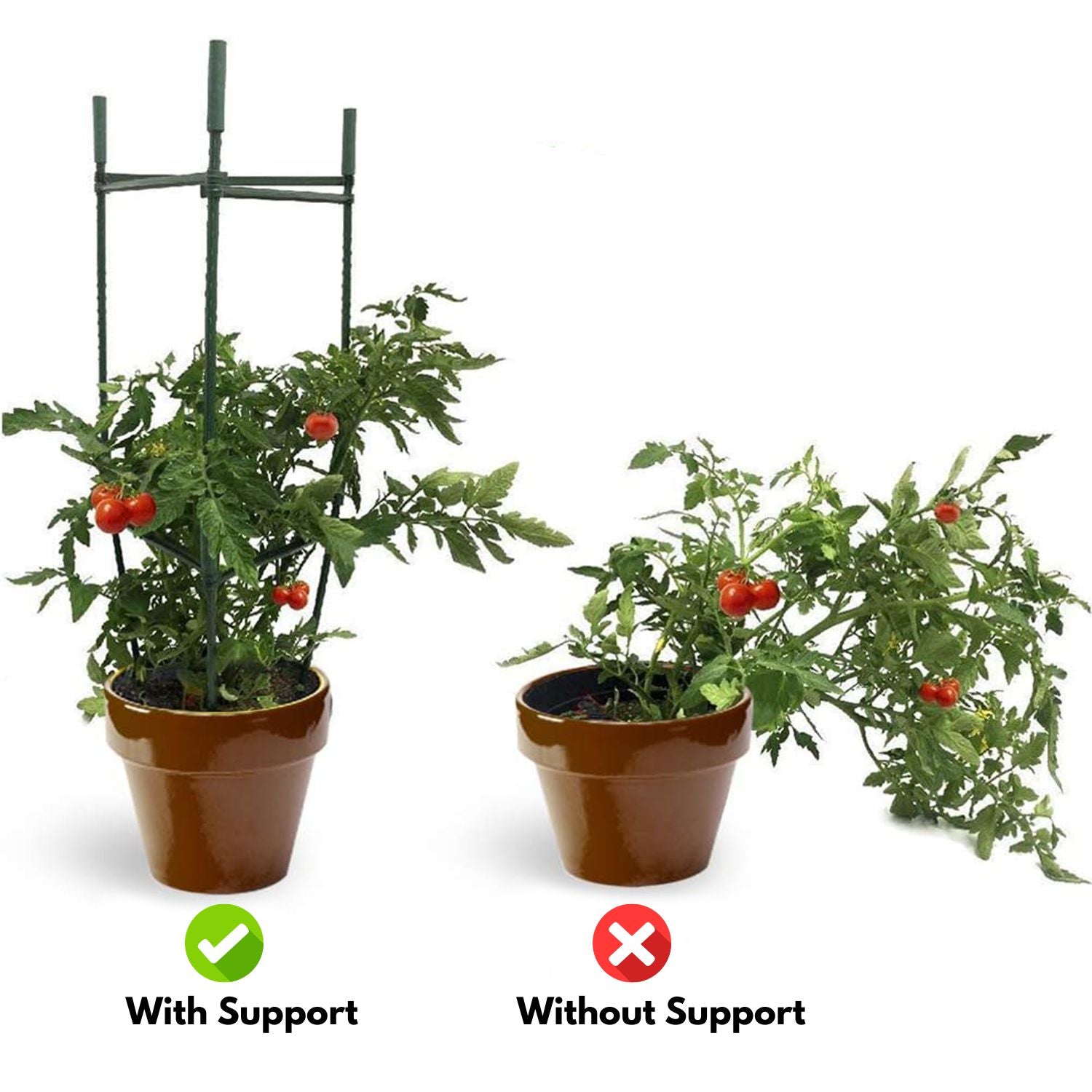 Noveden |Tomato Supports Cages - 3 Sets Green