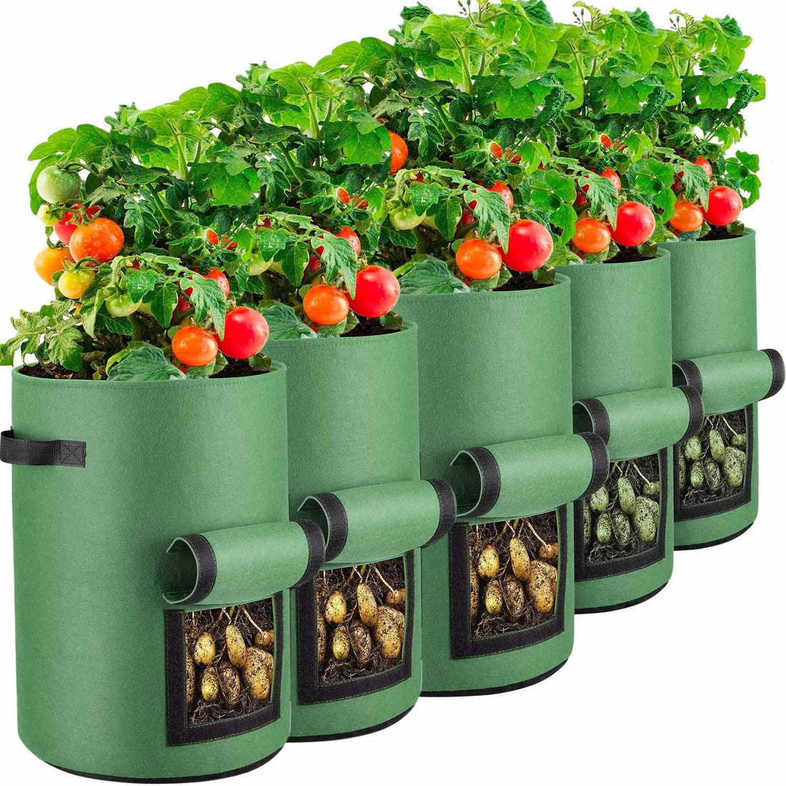 Grow Bags Potato 38L - 5 pack - Green