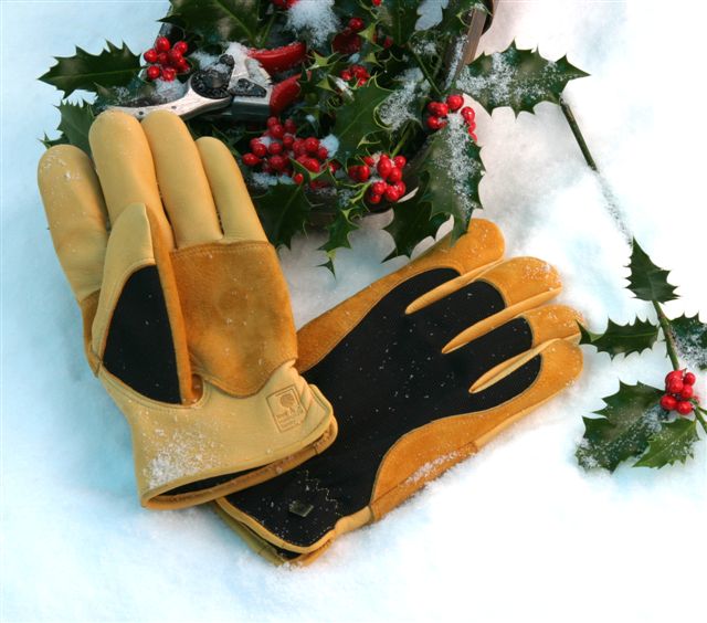 Gold Leaf Winter Touch Gents