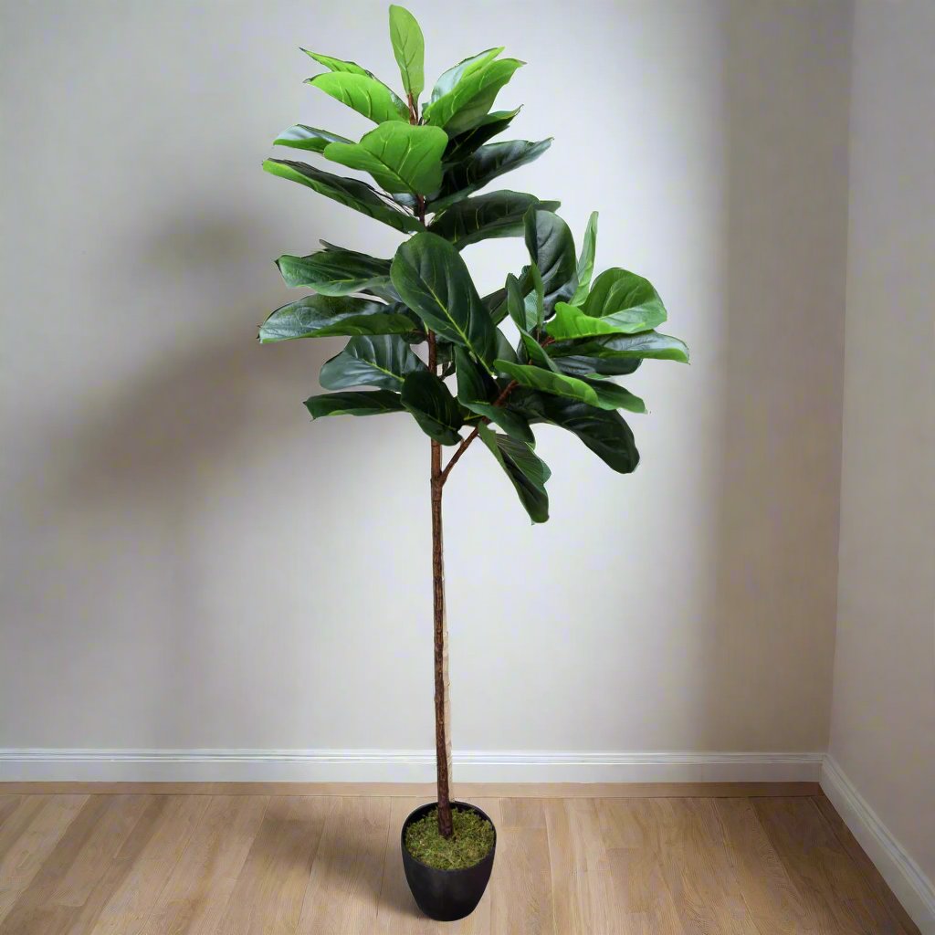 Tall Artificial Fiddle Leaf Fig 1.7m