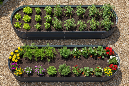 Overhead view of 3.2m twin pack with succession planting