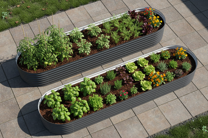 Overhead view of ultimate twin pack with companion planting