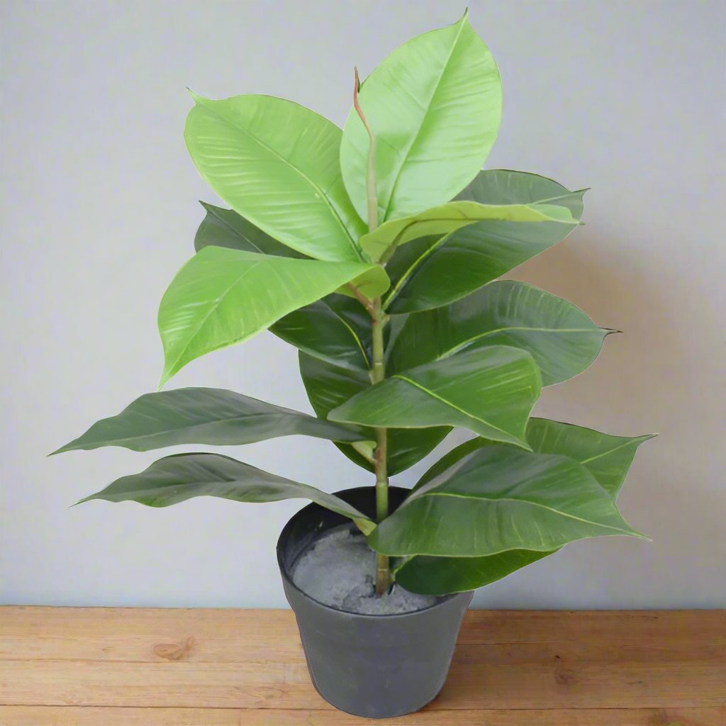 Artificial Potted Rubber Plant 55cm