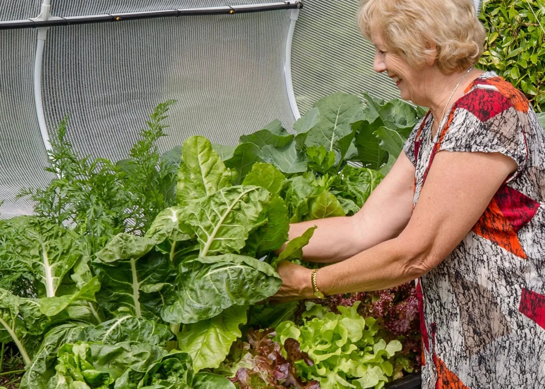 Vegepod Raised Garden Bed Small .5m x 1m with VegeCover + Small Stand