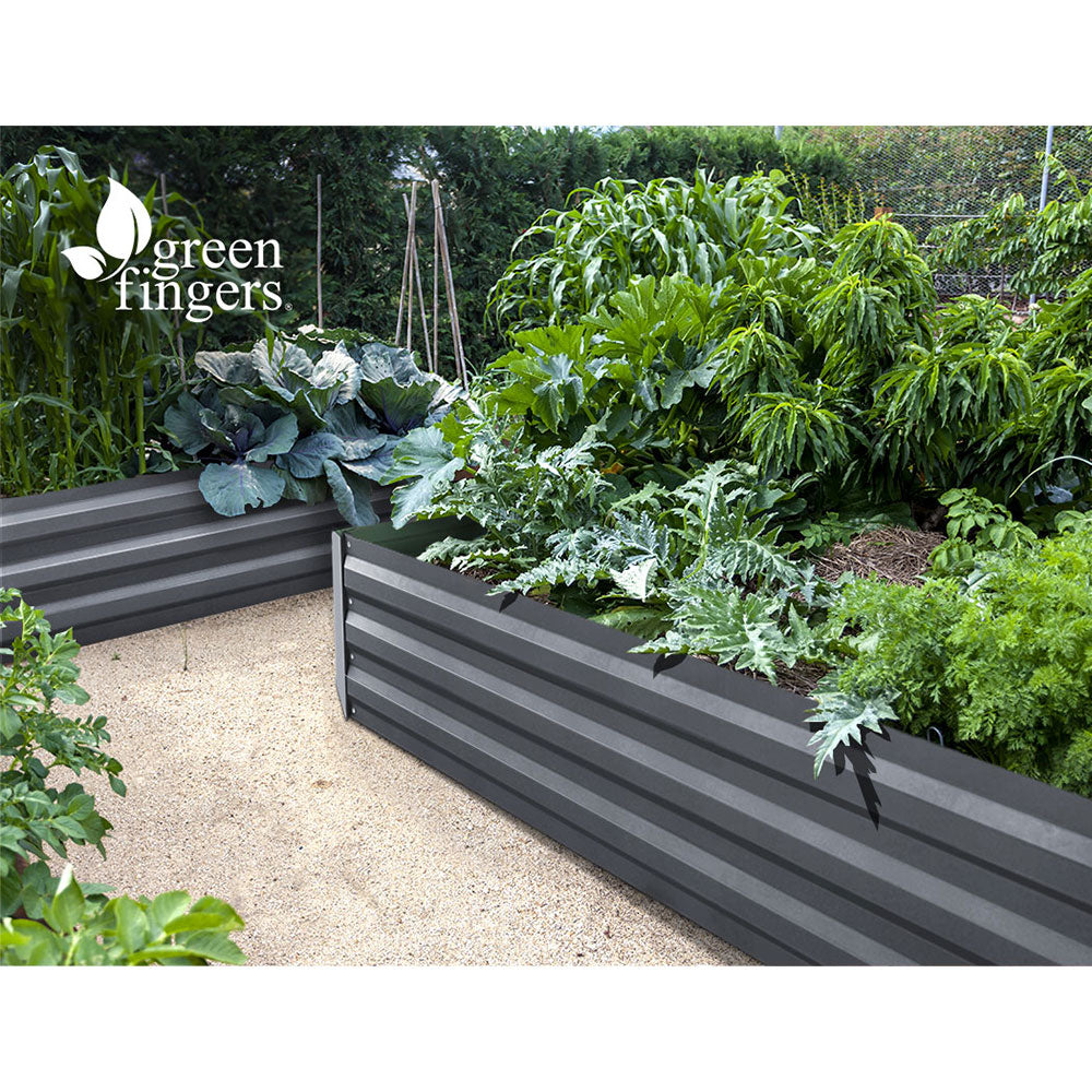 Australian garden with greenfinger steel raised garden beds