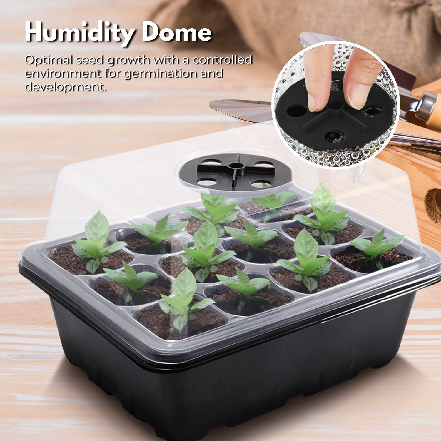 seedling tray australia wide delivery 