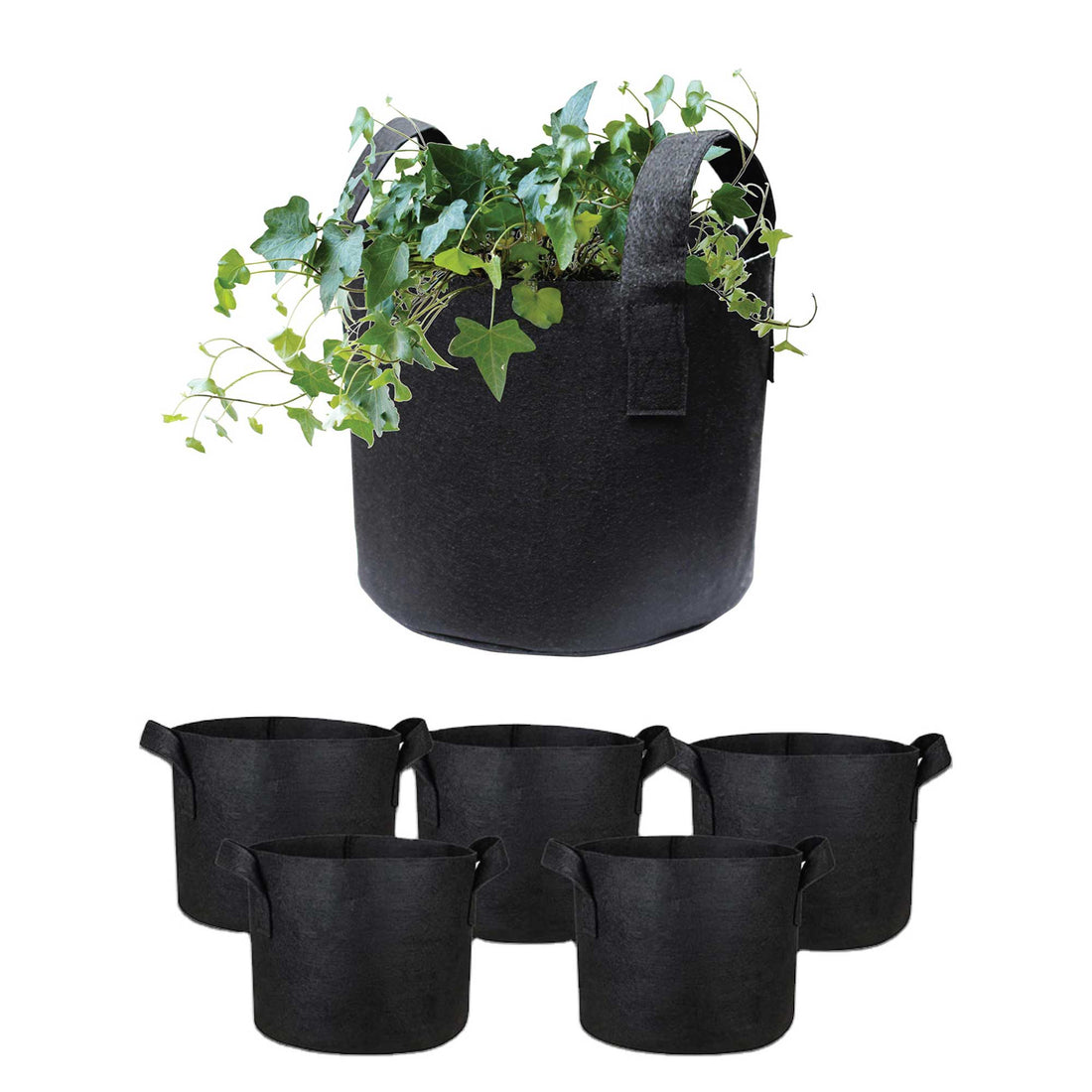 garden seedling planter bas
