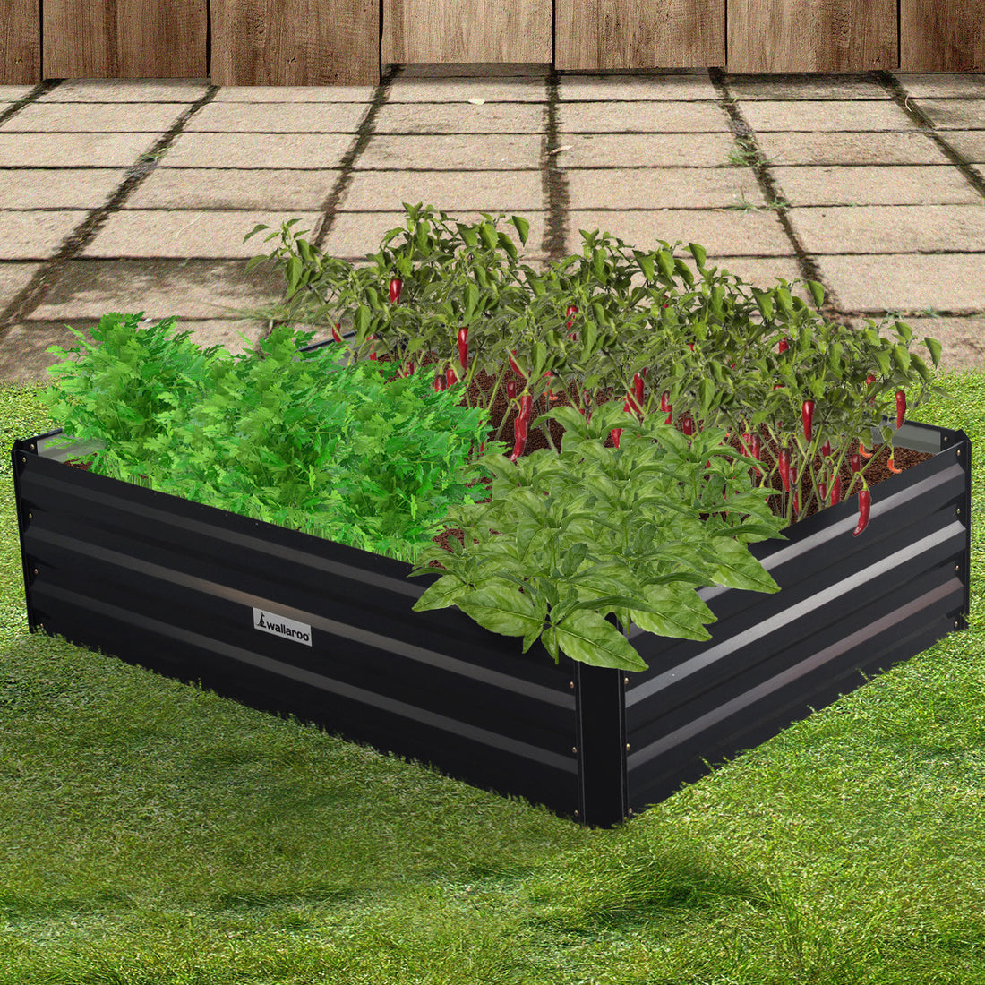 Wallaroo | Galvanised Steel Garden Bed 1.2 x .9m x 300mm - Black