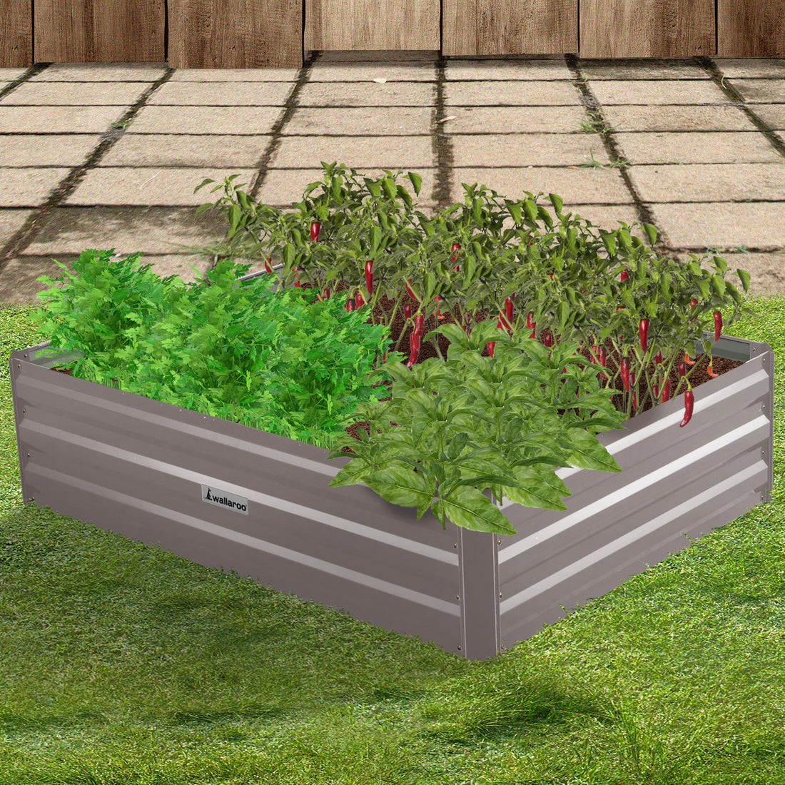 galvanised steel raised garden bed grey planted with herbs