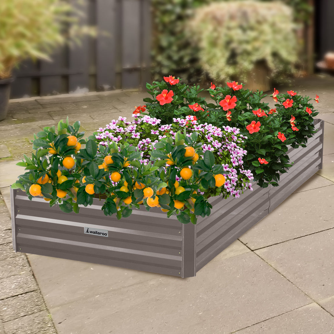 planted with flowers galvanised steel raised garden bed 