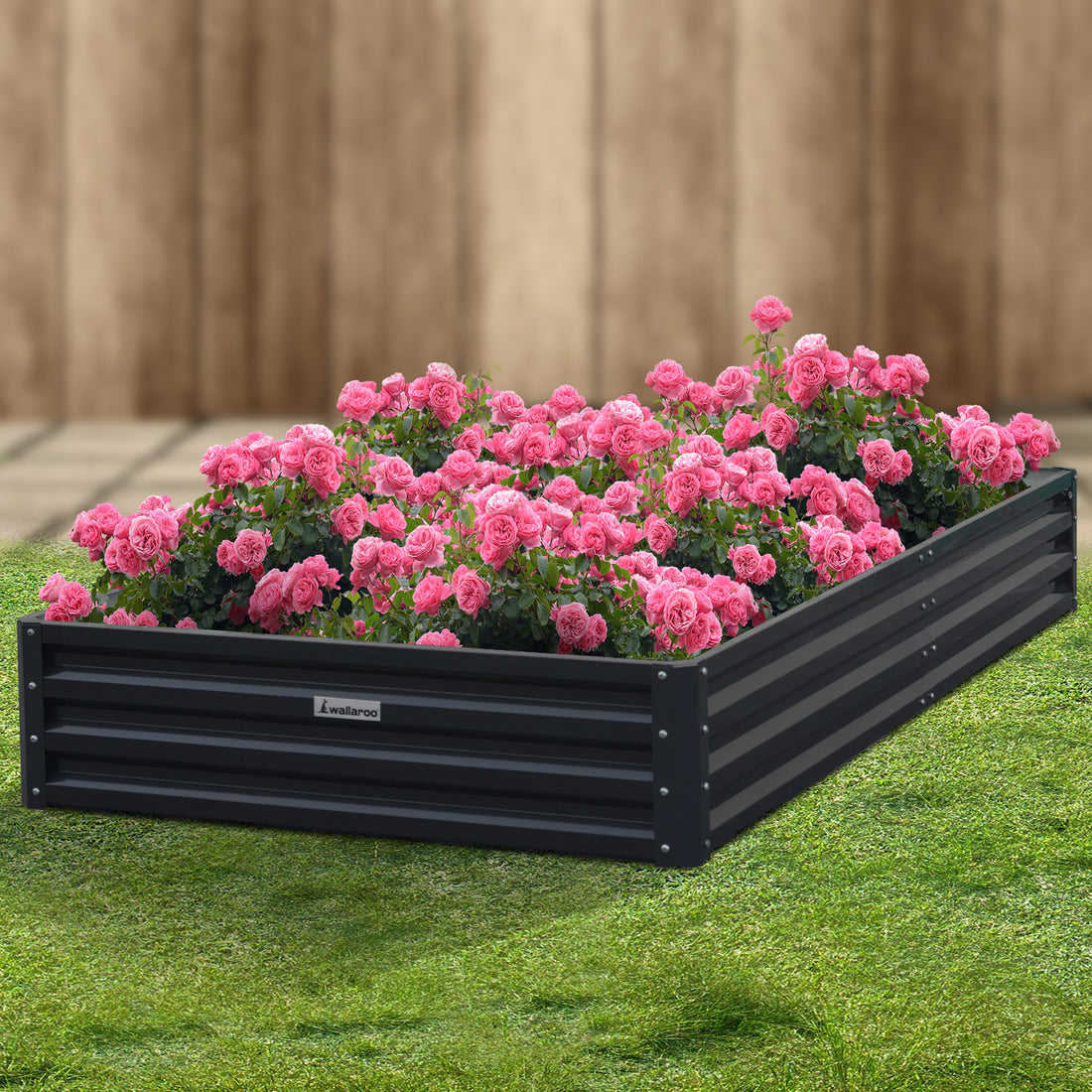 planted out black galvanised steel raised garden bed 
